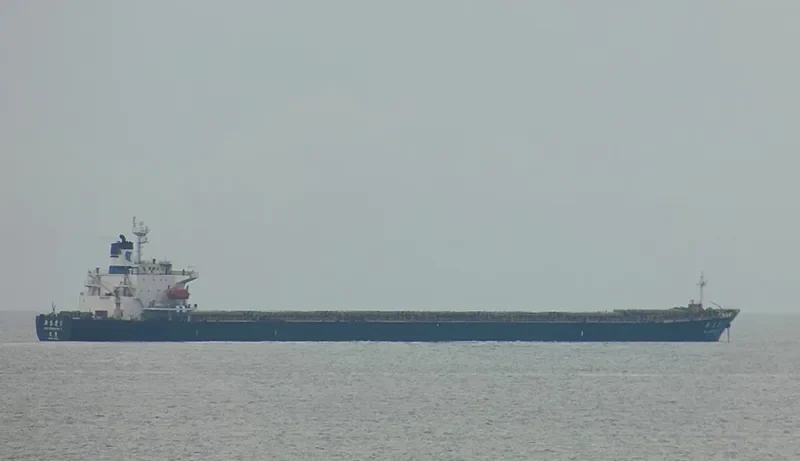 XIN DONG GUAN 3 Bulk Carrier IMO 9132961 photo 7