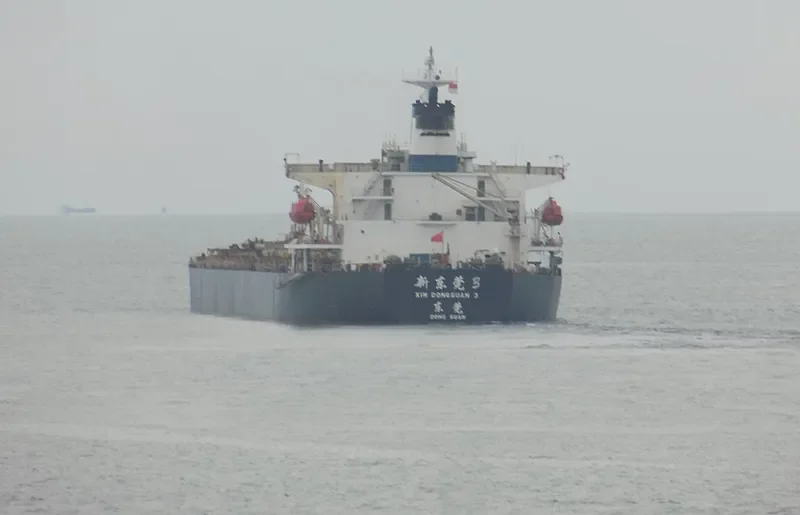 XIN DONG GUAN 3 Bulk Carrier IMO 9132961 photo 9