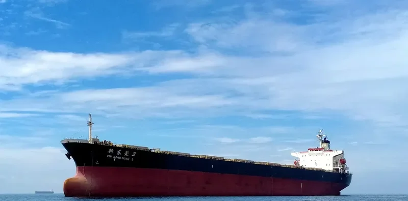 XIN DONG GUAN 3 Bulk Carrier IMO 9132961 photo 10