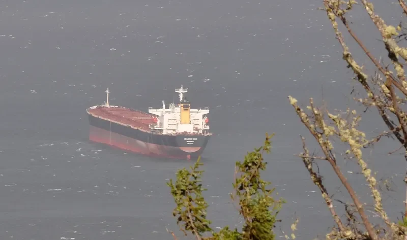 HELLENIC WIND Bulk Carrier IMO 9132973 photo 6
