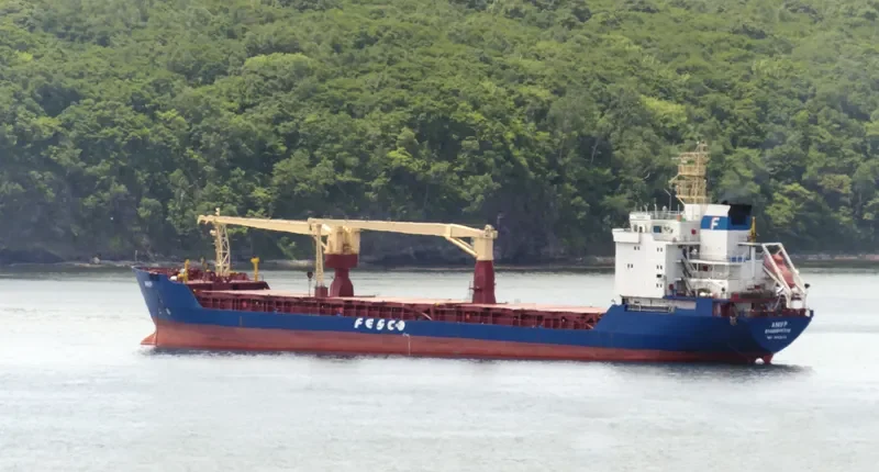 AMUR General Cargo IMO 9133173 photo 3
