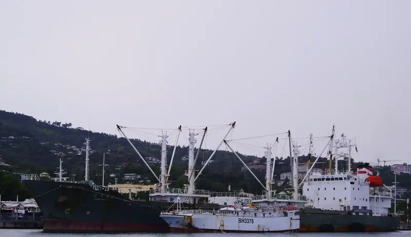 HANARO General Cargo IMO 9133317 photo 4