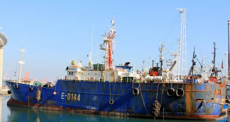 YUGO VOSTOCK 5 General Cargo IMO 9133381 photo 3