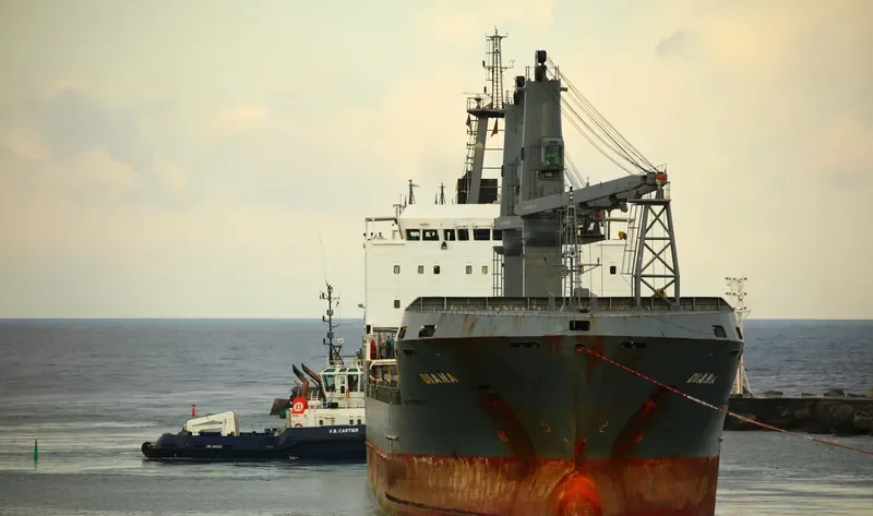 BALKAR TRUST Bulk Carrier IMO 9133769 photo 3