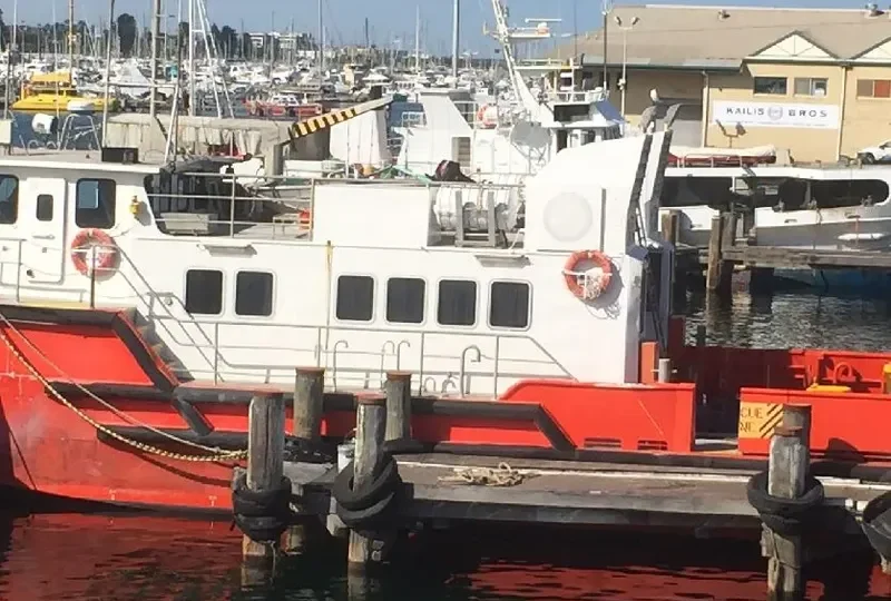 MERMAID RESOURCE Offshore Vessel IMO 9134024 photo 2