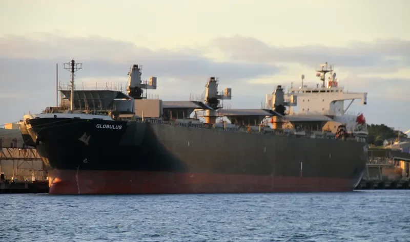 GLOBULUS Bulk Carrier IMO 9134191 photo 2