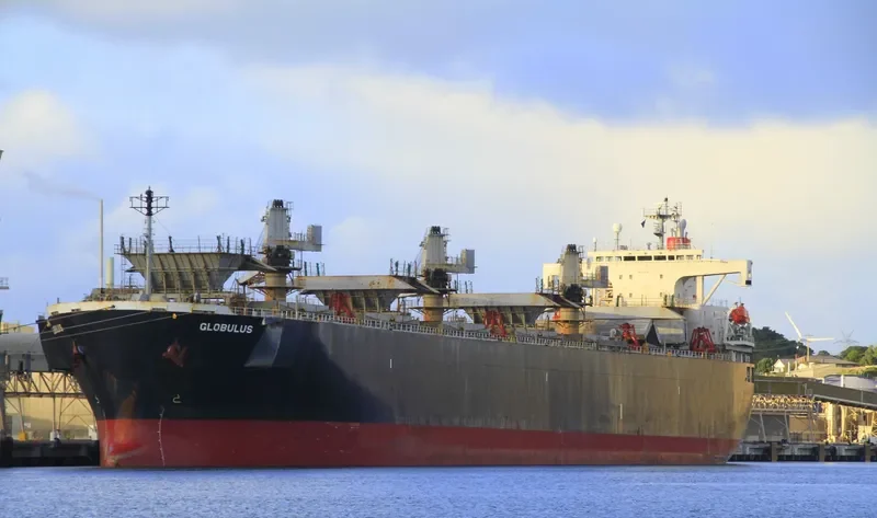 GLOBULUS Bulk Carrier IMO 9134191 photo 3
