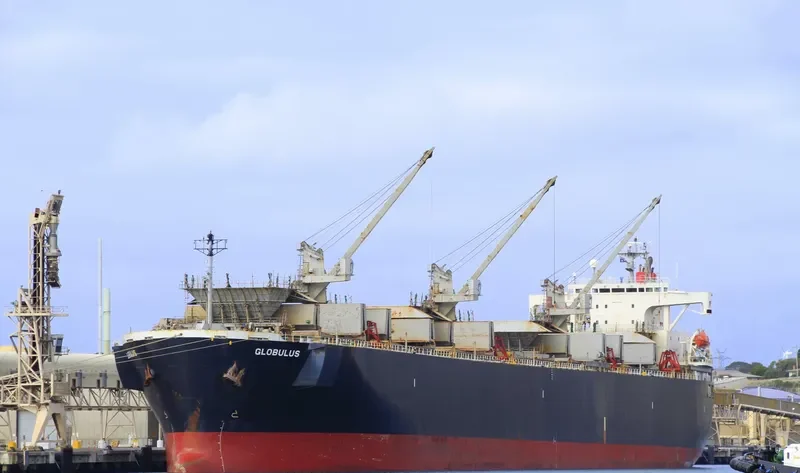 GLOBULUS Bulk Carrier IMO 9134191 photo 5