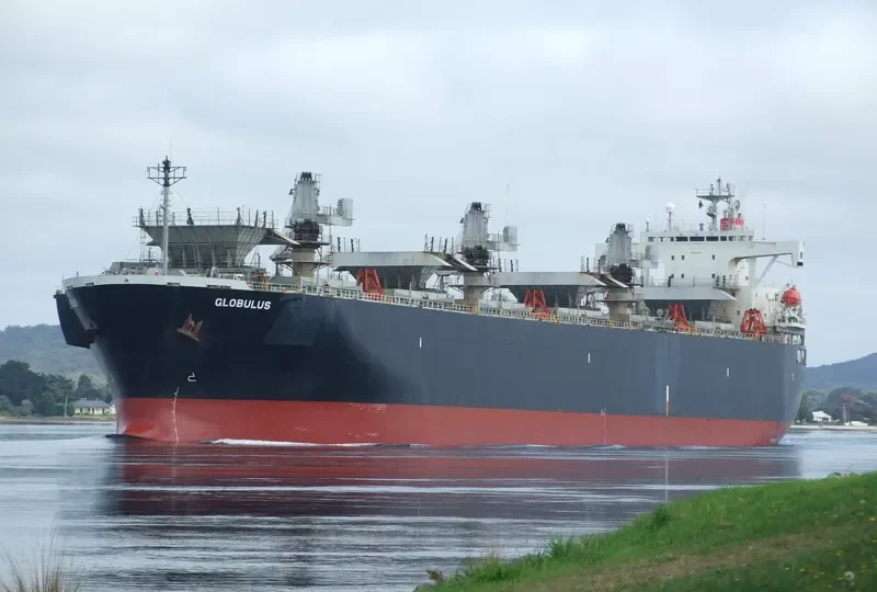 GLOBULUS Bulk Carrier IMO 9134191 photo 6