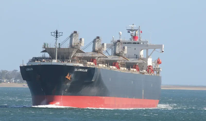 GLOBULUS Bulk Carrier IMO 9134191 photo 8