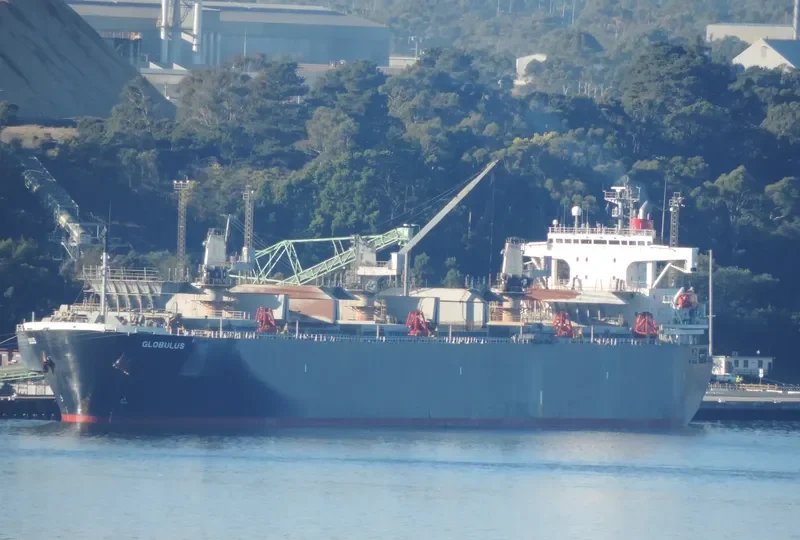 GLOBULUS Bulk Carrier IMO 9134191 photo 9