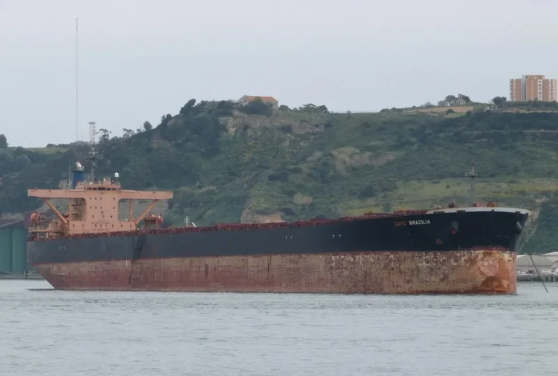 LILA PORTO Bulk Carrier IMO 9134220 photo 4