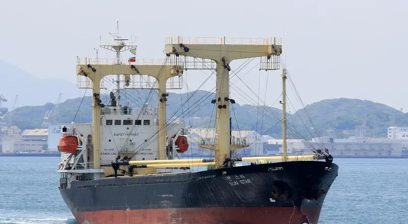 DANAU BERLIAN General Cargo IMO 9134385 photo 5