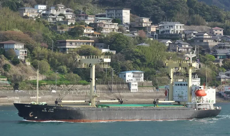 DANAU BERLIAN General Cargo IMO 9134385 photo 6