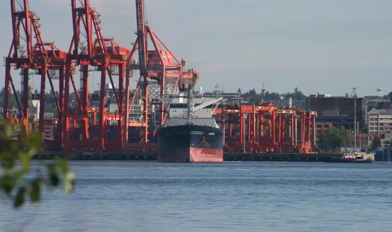 HS MASTER Container Ship IMO 9134608 photo 7