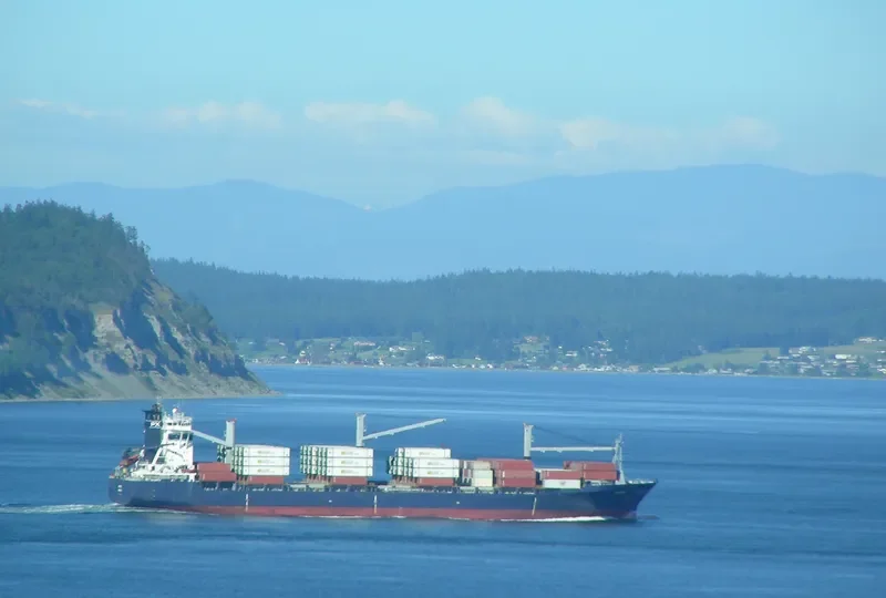 HS MASTER Container Ship IMO 9134608 photo 10
