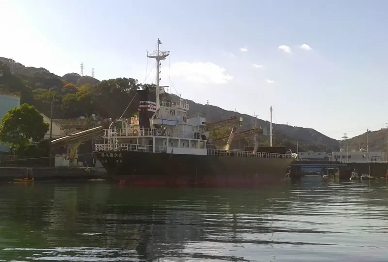 ZHEN XIN General Cargo IMO 9135195