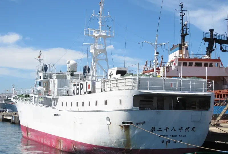 CHIYO MARU NO.28 General Cargo IMO 9135420