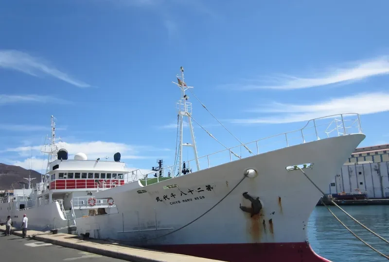 CHIYO MARU NO.28 General Cargo IMO 9135420 photo 2