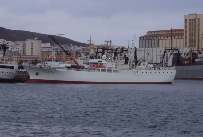 CHIYO MARU NO.28 General Cargo IMO 9135420 photo 4