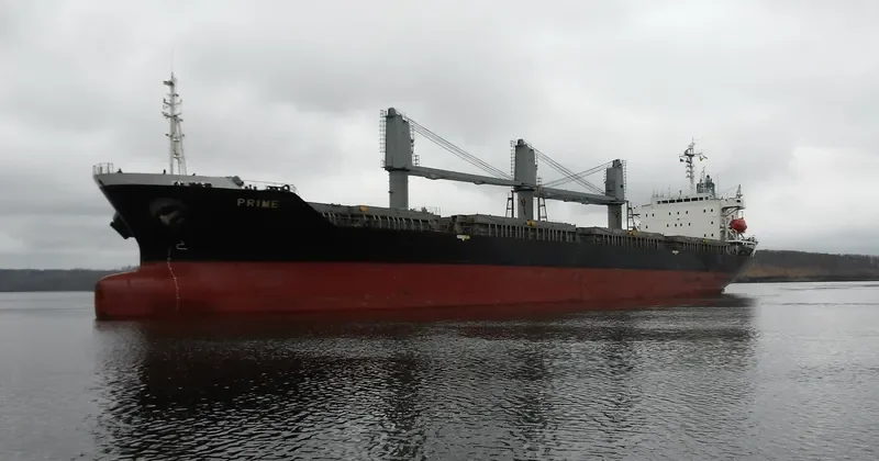 PRIME General Cargo IMO 9135509 photo 3