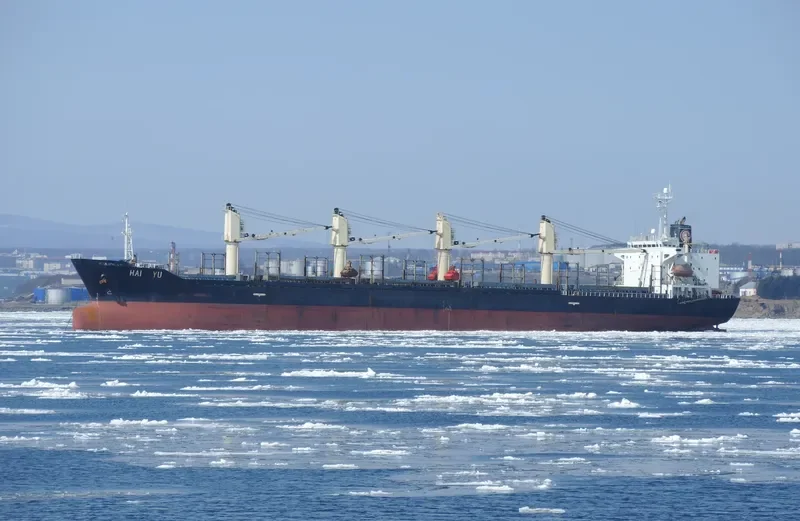 GOLDEN SUN Bulk Carrier IMO 9135511 photo 2