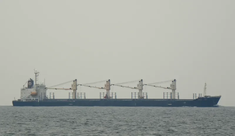 GOLDEN SUN Bulk Carrier IMO 9135511 photo 4