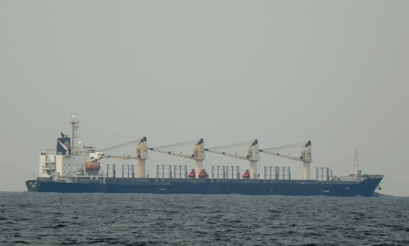 GOLDEN SUN Bulk Carrier IMO 9135511 photo 5