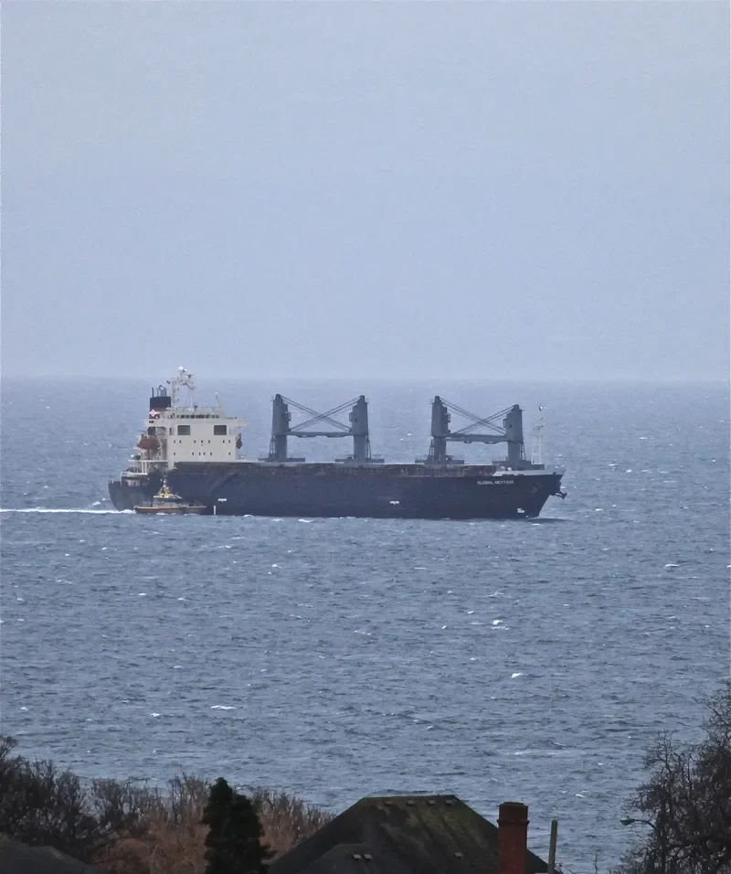AN SHUN 5 Bulk Carrier IMO 9135535 photo 6