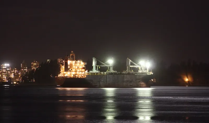 AN SHUN 5 Bulk Carrier IMO 9135535 photo 9