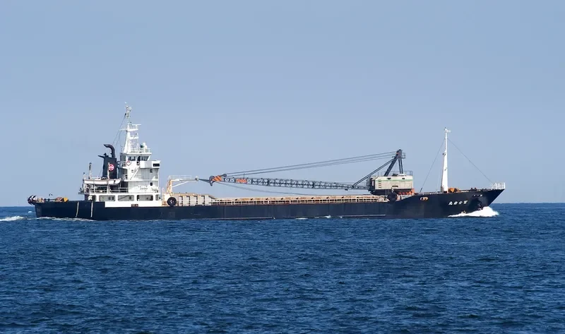 FUJIIWA MARU General Cargo IMO 9135626 photo 7