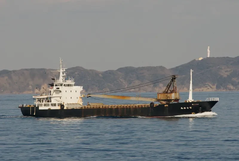 FUJIIWA MARU General Cargo IMO 9135626 photo 8