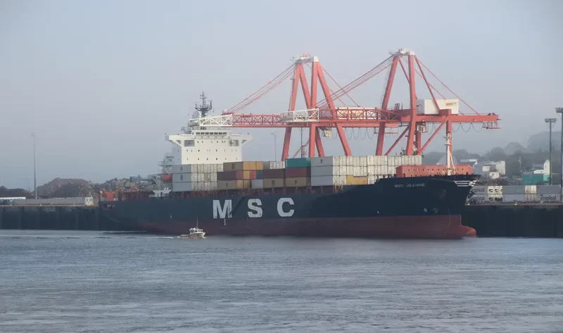 MSC JEANNE Container Ship IMO 9135638 photo 3