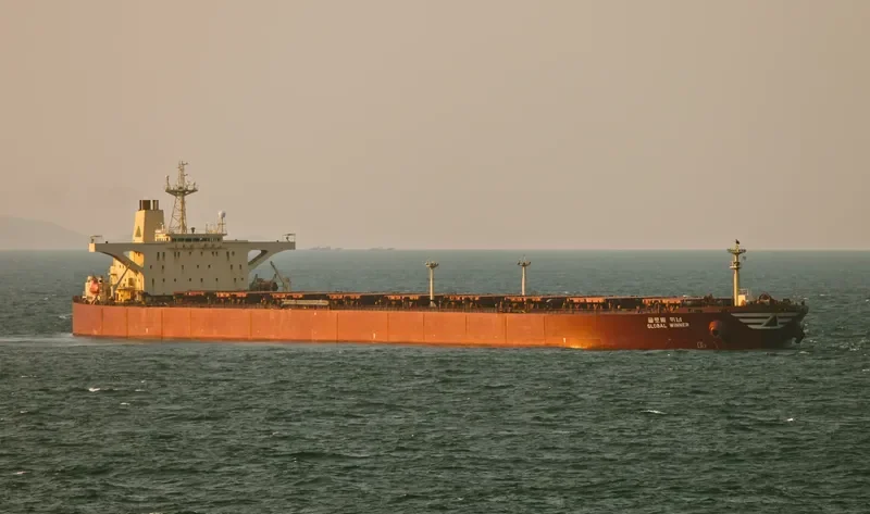 NEW MYKONOS Bulk Carrier IMO 9135688 photo 3