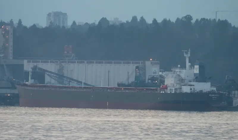 EVELYN HAYNE Bulk Carrier IMO 9136060 photo 7