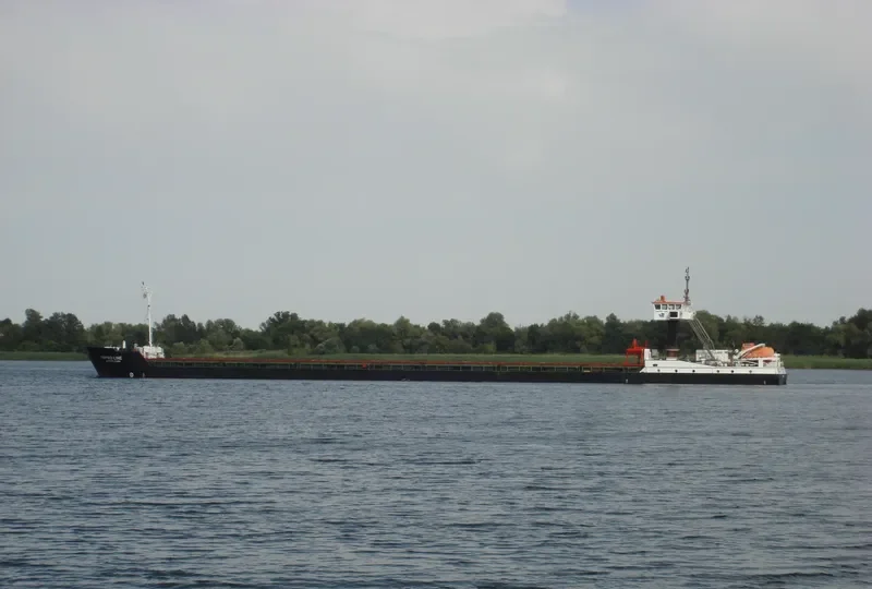 DNIPRO LINE Container Ship IMO 9136371 photo 2