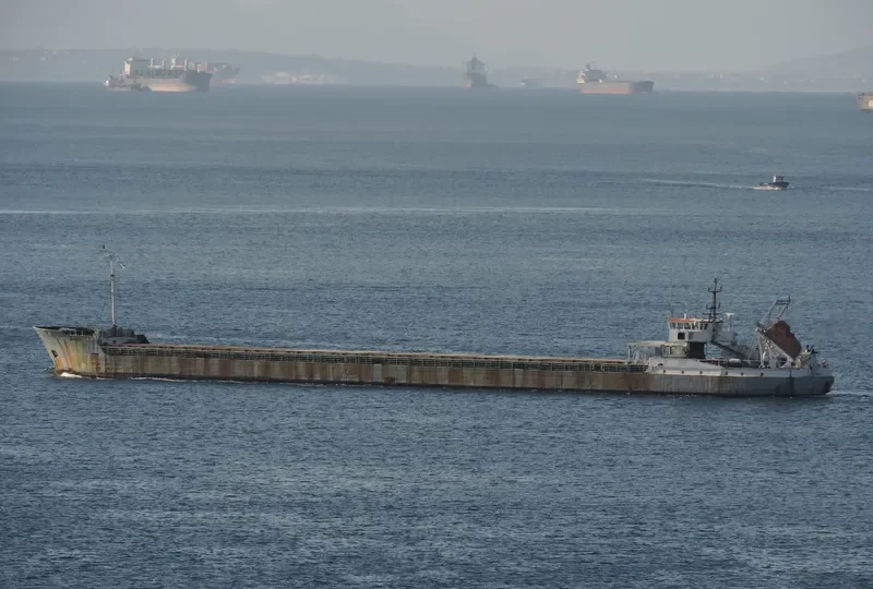 DNIPRO LINE Container Ship IMO 9136371 photo 5