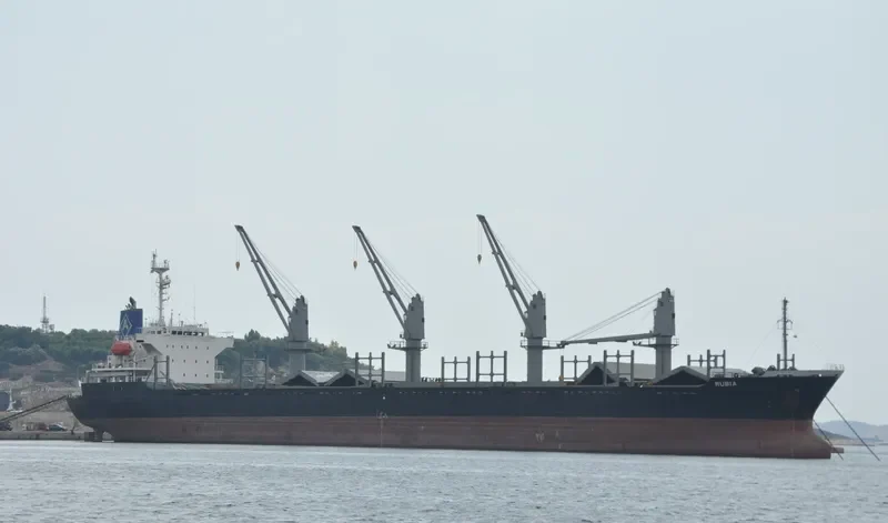 AT 27 Bulk Carrier IMO 9136539 photo 8