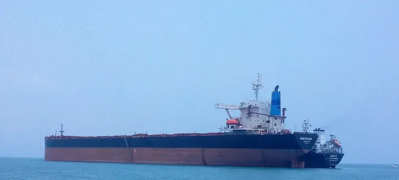 SING FU STAR Bulk Carrier IMO 9136577