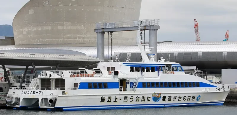 BIG EARTH Passenger Ship IMO 9136723 photo 3