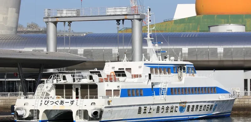 BIG EARTH Passenger Ship IMO 9136723 photo 10