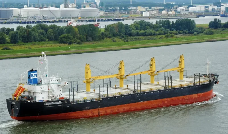 LION Bulk Carrier IMO 9136785 photo 4