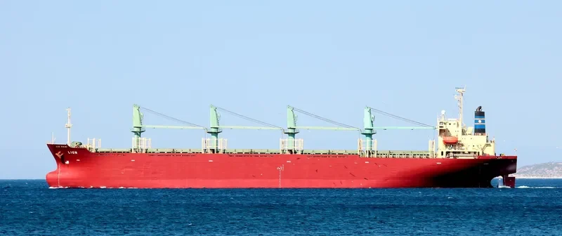 LION Bulk Carrier IMO 9136785 photo 9