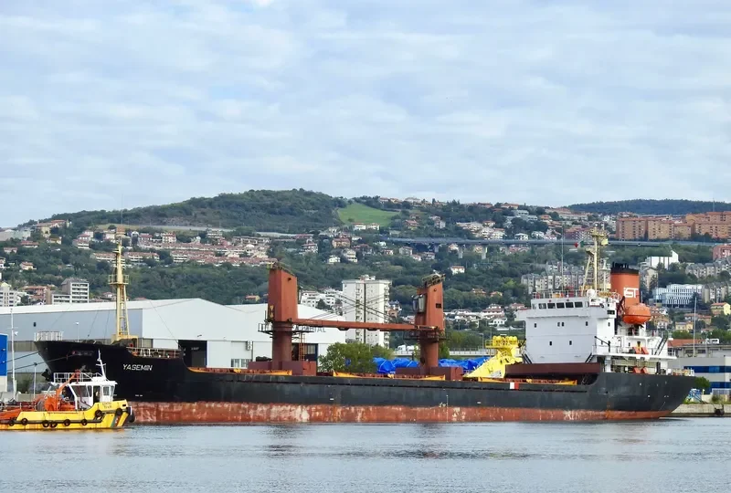 YASEMIN General Cargo IMO 9136838 photo 3
