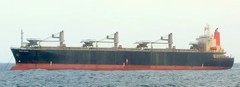 DAIO ROBIN General Cargo IMO 9136905