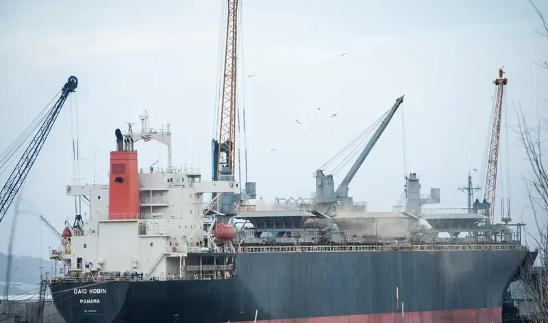 DAIO ROBIN General Cargo IMO 9136905 photo 2