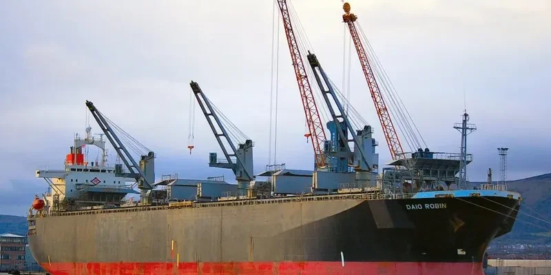 DAIO ROBIN General Cargo IMO 9136905 photo 4