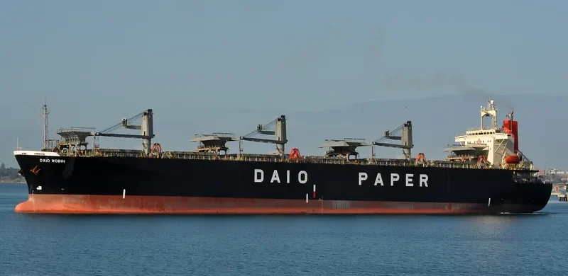 DAIO ROBIN General Cargo IMO 9136905 photo 8