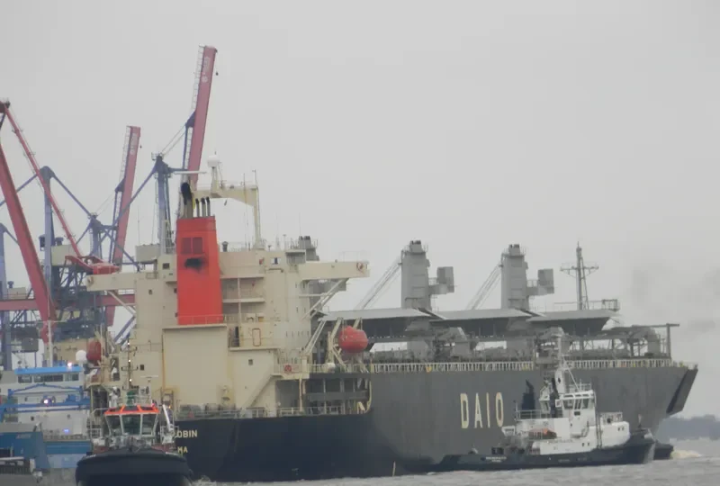 DAIO ROBIN General Cargo IMO 9136905 photo 10