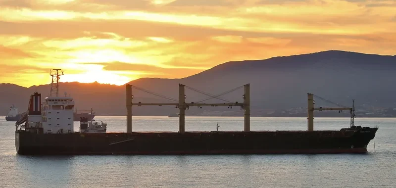 THOR HORIZON Bulk Carrier IMO 9137117 photo 3